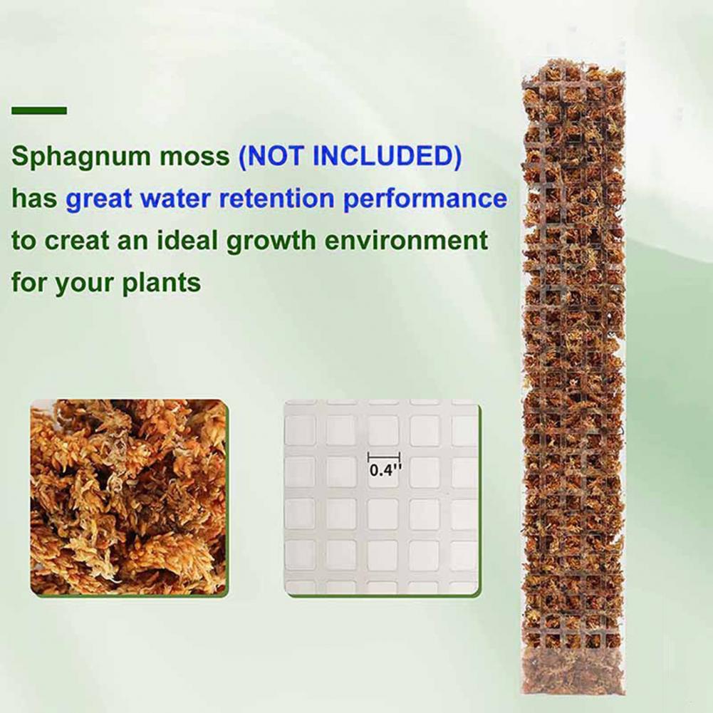 Sphagnum Moss Dry - 덩굴 식물용 지지대, 공중 뿌리 고정