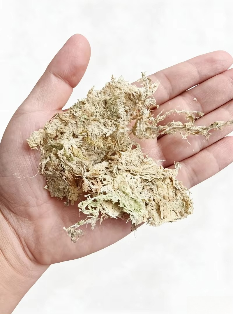 Sphagnum Moss Dry - 고급 스파그넘 이끼 (난초용) 압축 블록,