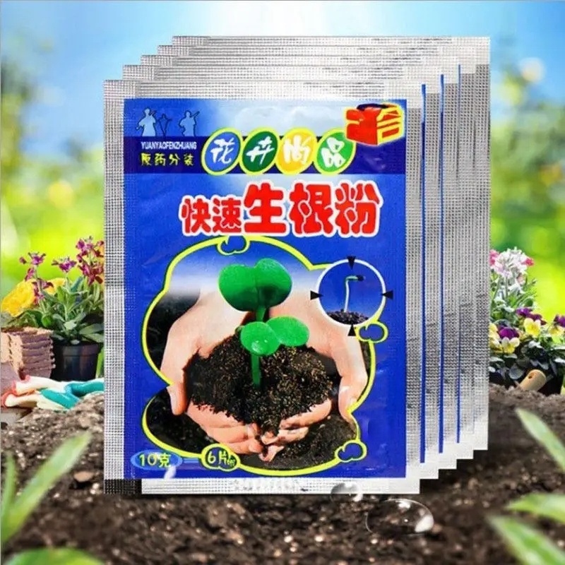 Root Stimulator Liquid - 5개입 빠른 발근 분말 식물 급속