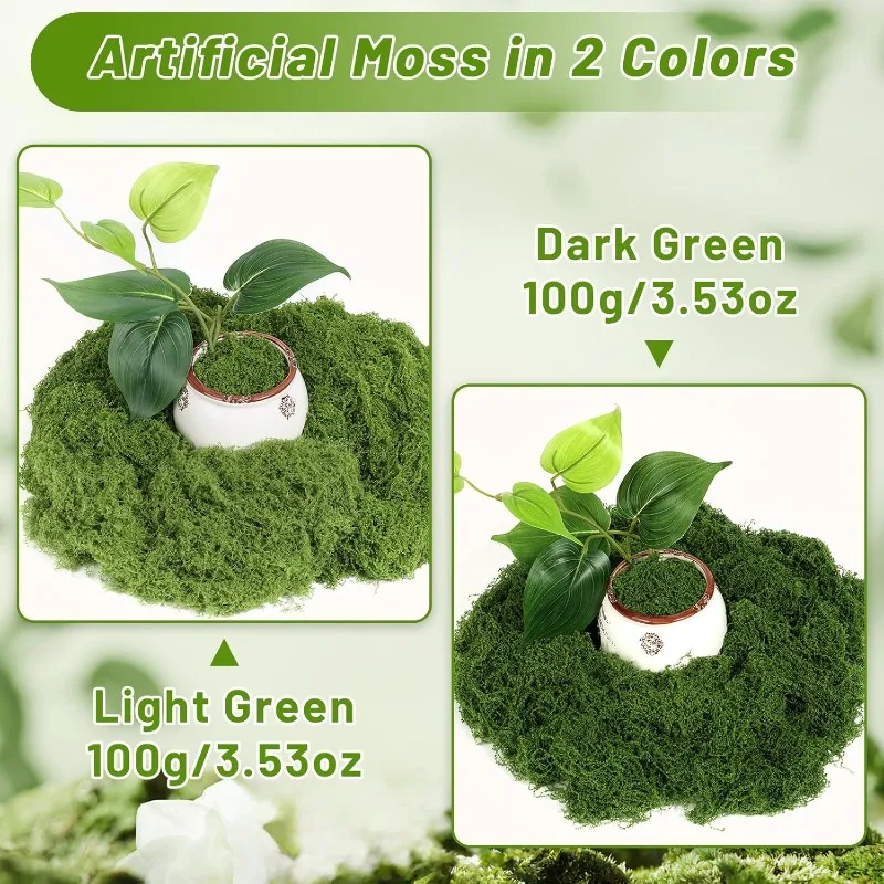 영원한 생명을 담은 이끼, 인조 녹색 이끼, 미니 정원 - Sphagnum Moss Dry 리뷰 및 가격